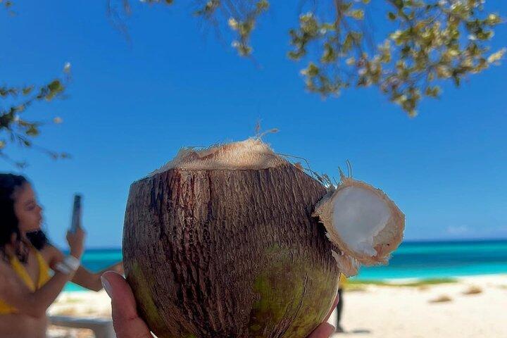 Bay of Eagles VIP : Full Day to Paradise From Santo Domingo