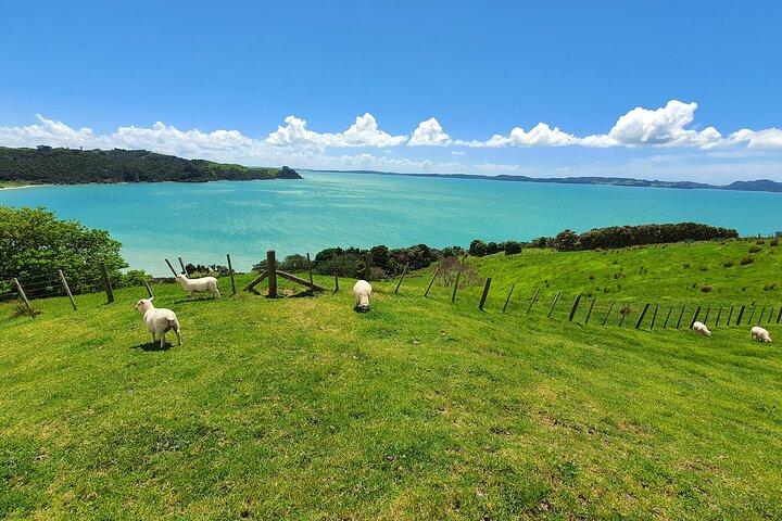 Auckland Airport One-Way Private Transfer: Airport to CBD Hotels