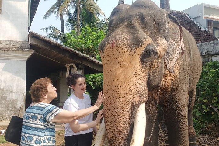Authentic Tuk Tuk Heritage Tour of Kochi with Local Guide