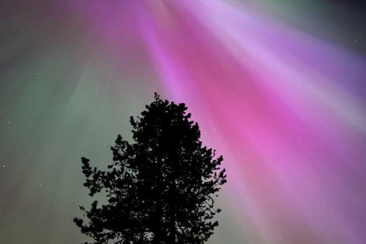 Banff/Canmore Night Sky: Stargazing and Chasing Northern Lights