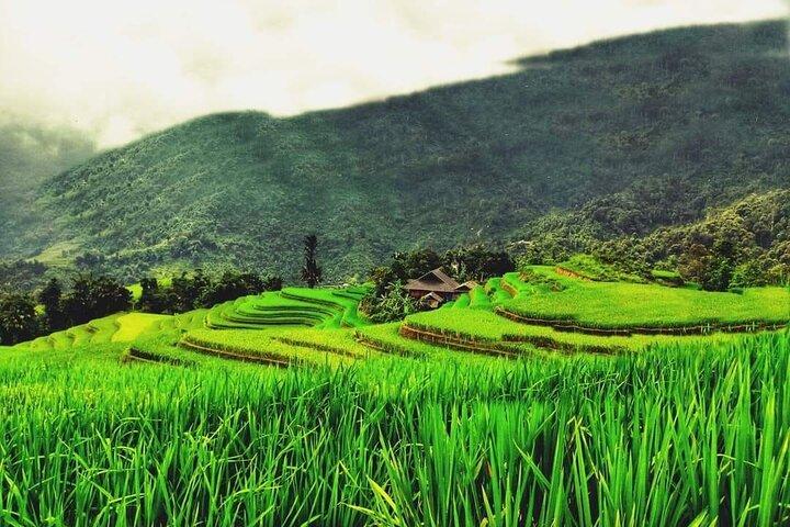 Sapa 3 Days 2 Nights Authentic Trekking & Fansipan with VIP cabin
