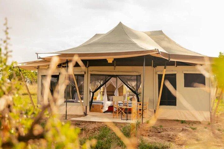 Latest Updates On The Top Best 3 day Serengeti Migration Safari