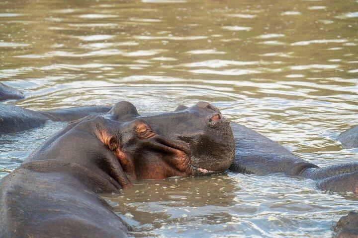 10 Days of Wildlife, Culture & Scenic Beauty from Arusha