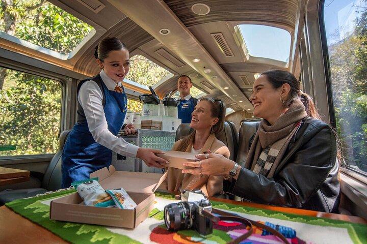 Machupicchu Full Day Tour with Vistadome Panoramic Train