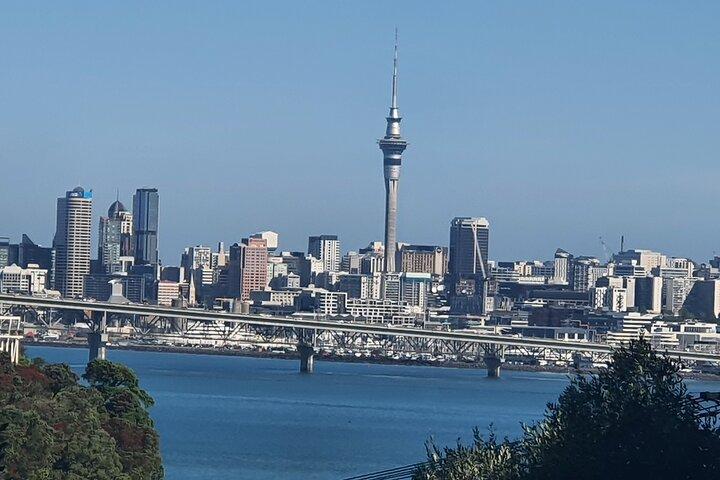 Auckland Airport One-Way Private Transfer: Airport to CBD Hotels