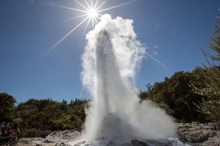 Tauranga Shore Excursion: Wai-o-Tapu with Forest Walk/Forest Spa