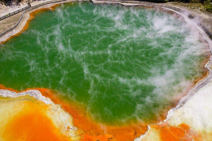 Tauranga Shore Excursion: Wai-o-Tapu with Forest Walk/Forest Spa