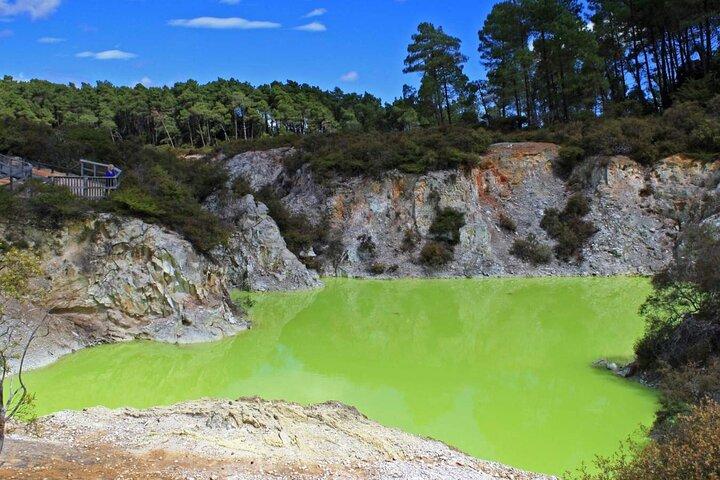 Tauranga Shore Excursion: Wai-o-Tapu with Forest Walk/Forest Spa