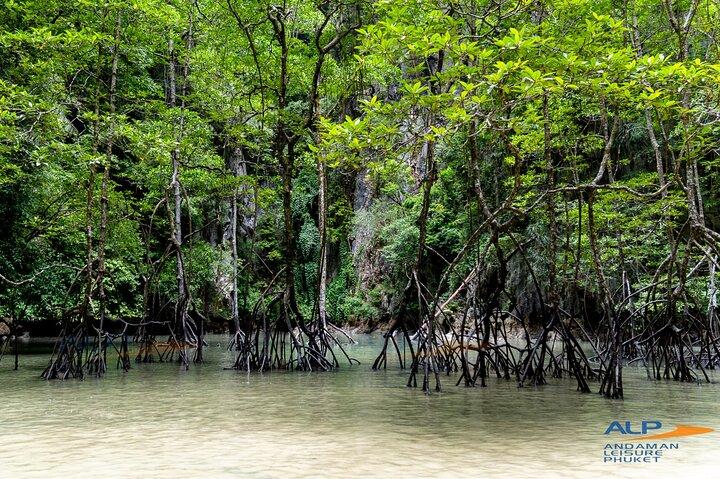 PREMIUM James Bond & Phang Nga bay & 2 Canoes