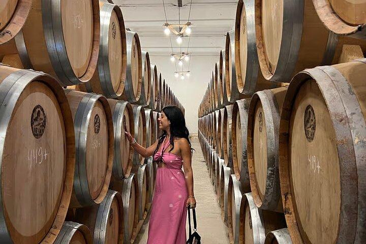 Lake Sevan & Dilijan Guided Day Trip with Wine Factory Tour