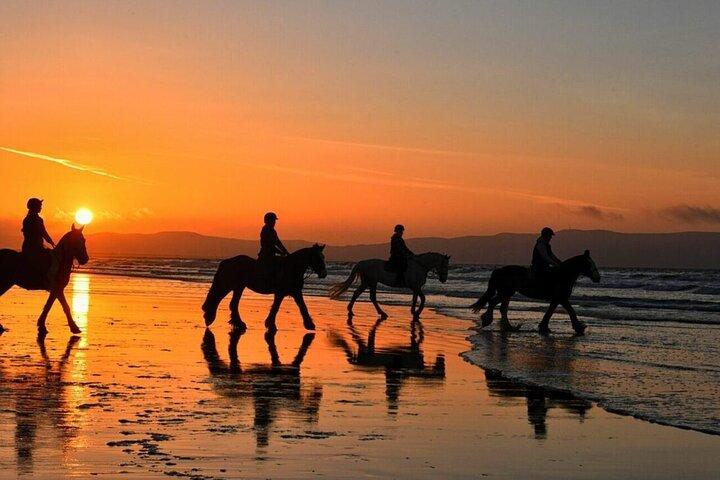 Taghazout & Agadir Beach Horse Riding Experience – Scenic Sunset
