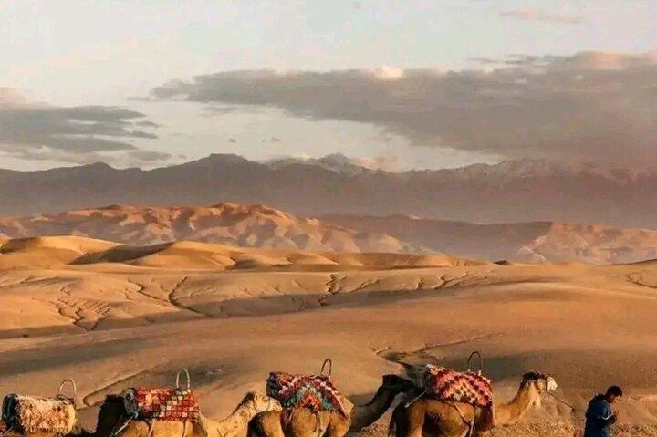 Desert Agafay Tour with show Dinner/Quad Bike & Sunset Camel Ride