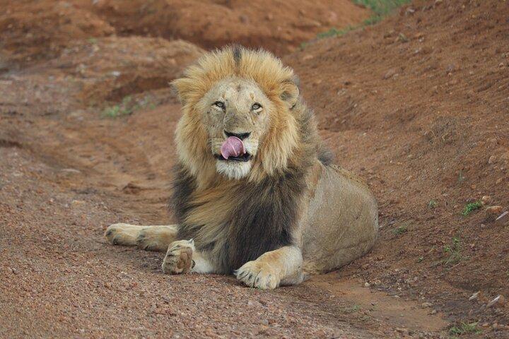 3 Day Ol Pejeta Flight Safari