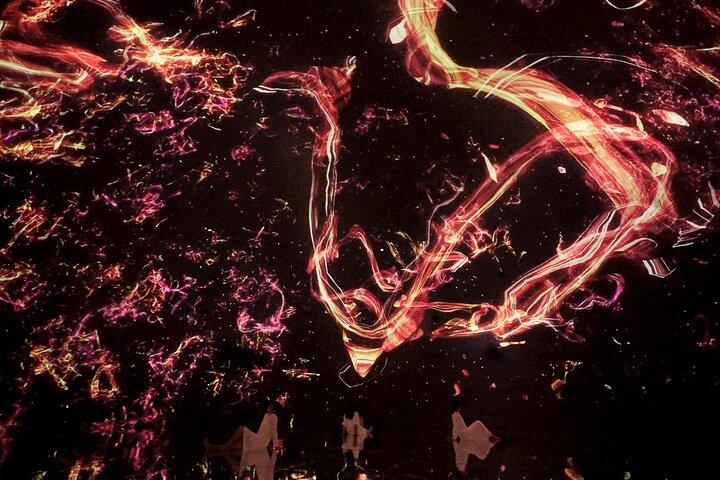 Discover Kyoto TeamLab Biovortex Experience
