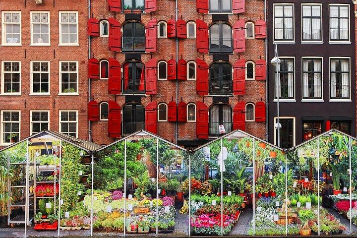 Amsterdam Audio Guided Walking Tour 3h and 21 audio reviews