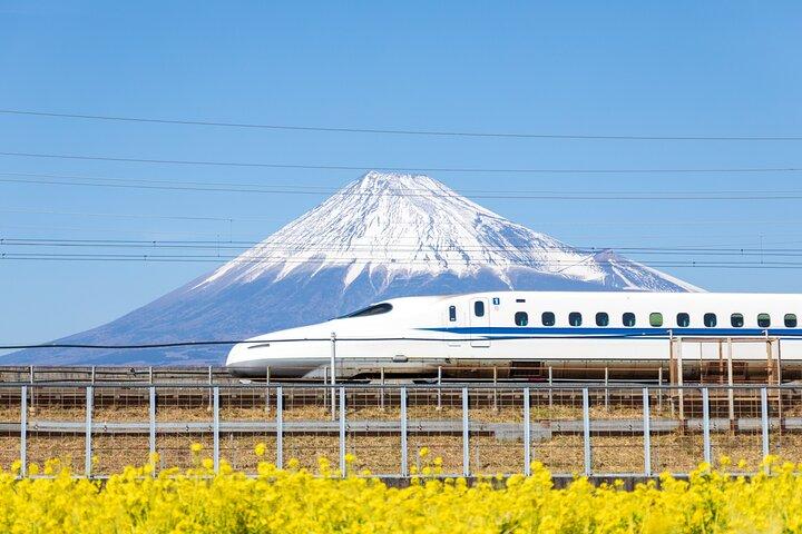 Tokyo Private and Personalized with Guide in Spanish or English