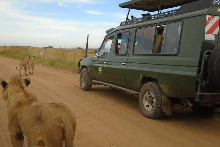 3-Day Masai Mara Group Safari with Pick Up