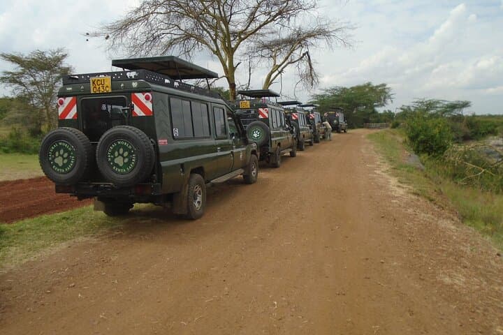 3-Day Masai Mara Group Safari with Pick Up