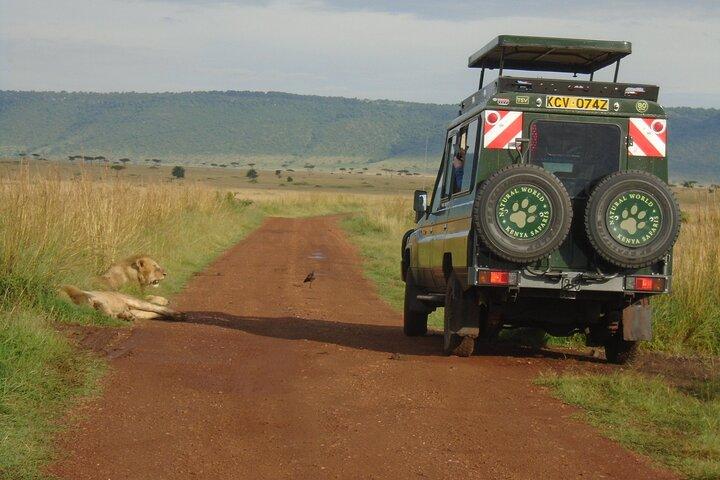 Masai Mara 3 Day Safari | Private 4WD Jeep Tour