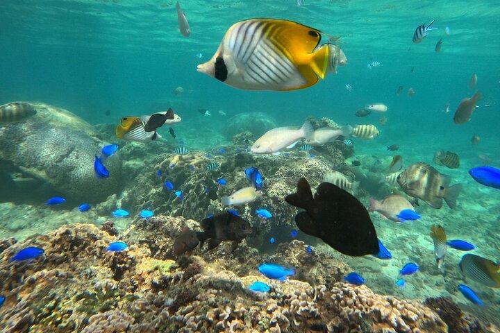 【 PRIVATE 】Okinawa Blue Cave Adventure - Discount for 4+people