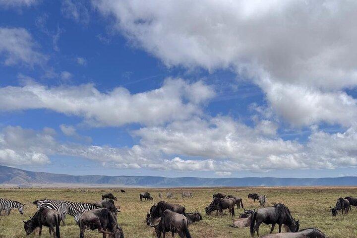 2 Days of Budget Safari to Tarangire and Ngorongoro