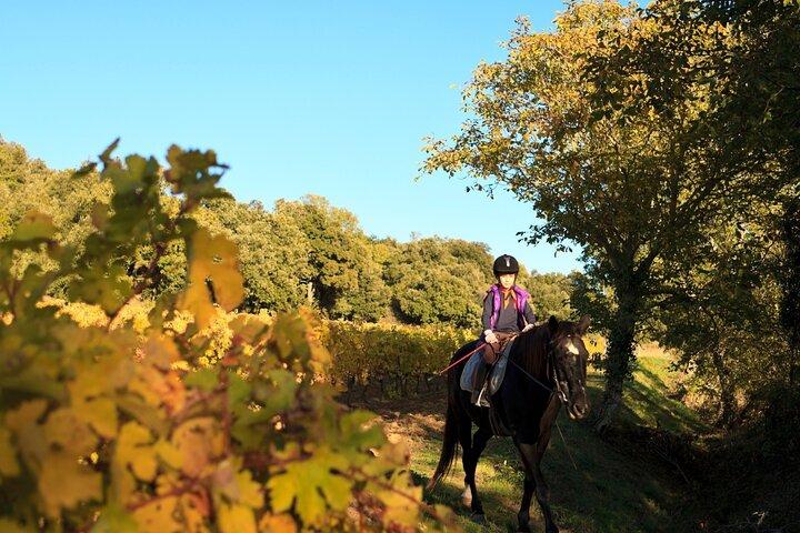 Exclusive Horseback Experience and Wine Tasting