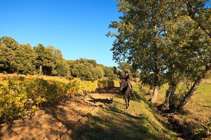 Exclusive Horseback Experience and Wine Tasting