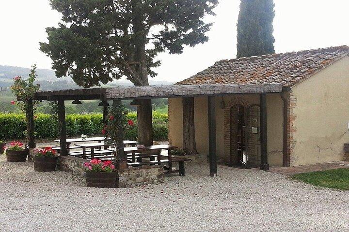 Exclusive Horseback Experience and Wine Tasting