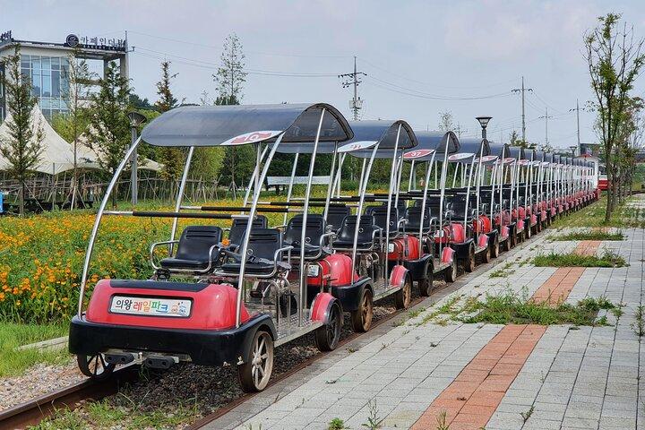Private Guided Tour For Nami Alpaca Rail bike and Seoraksan