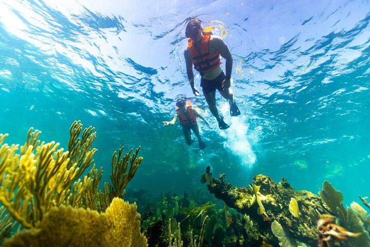 Private Boat Ride & Snorkeling Tour In Puerto Morelos