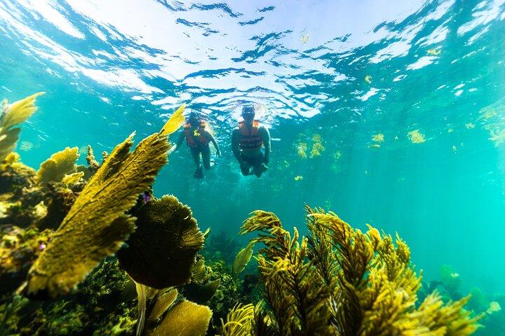 Private Boat Ride & Snorkeling Tour In Puerto Morelos