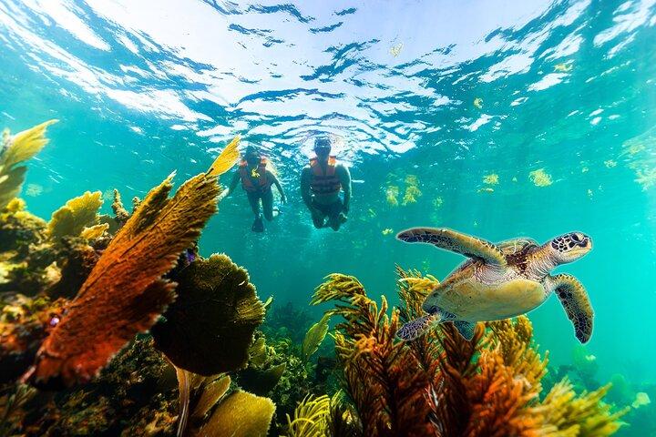 Private Boat Ride & Snorkeling Tour In Puerto Morelos