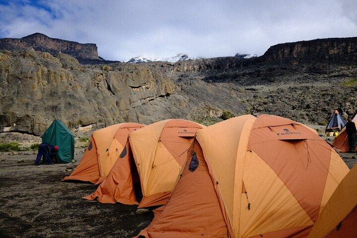 9 Day Machame Route Kilimanjaro Climb, Summit Uhuru Peak