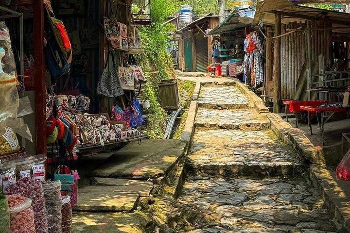 Sapa to Cat Cat Village: Half-Day Scenic Walk with Local Guide