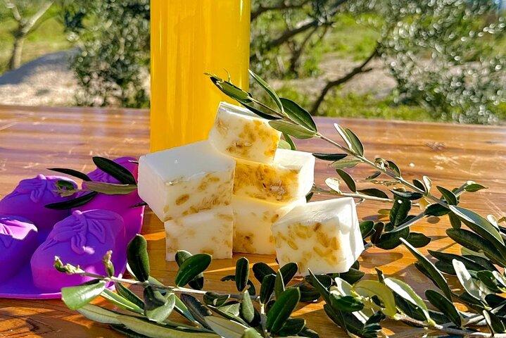 Olive Oil Workshop with E Bike Adventure in Dubrovnik
