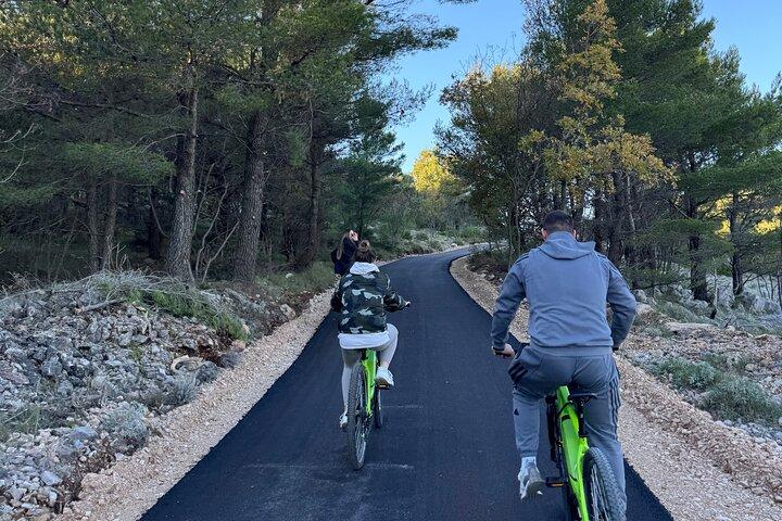 Olive Oil Workshop with E Bike Adventure in Dubrovnik