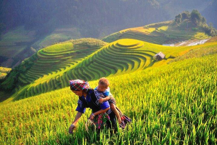 [Private] Bac Ha, Sapa and Mu Cang Chai - 5 days 4 nights