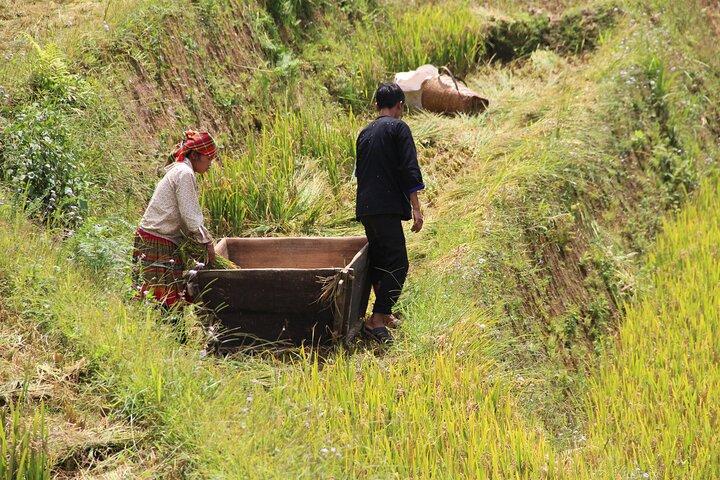 [Private] Bac Ha, Sapa and Mu Cang Chai - 5 days 4 nights