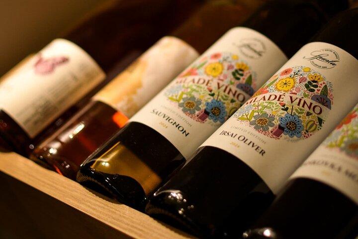 Evening Essential Bratislava Tour & Wine Tasting from Vienna