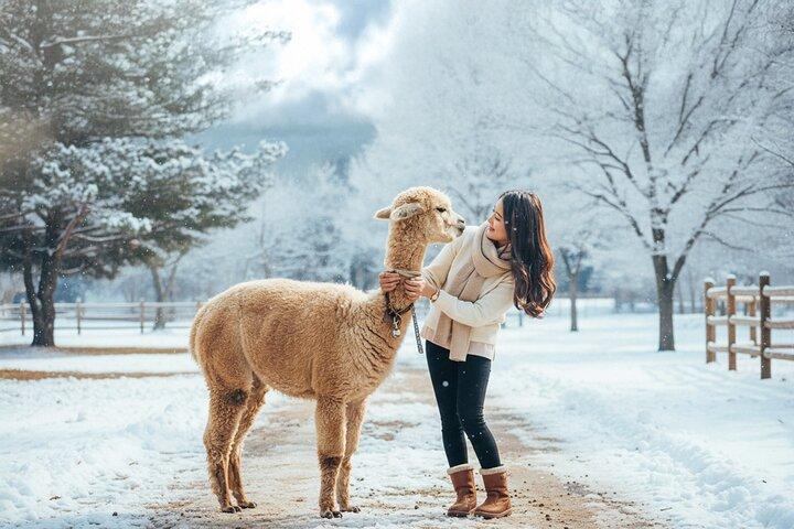 Alpaca, Nami, Eobi with Rail Bike or Strawberry