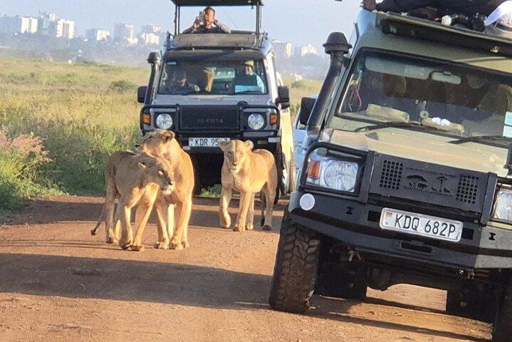 Nairobi National Park Half Day Safari Game Drive