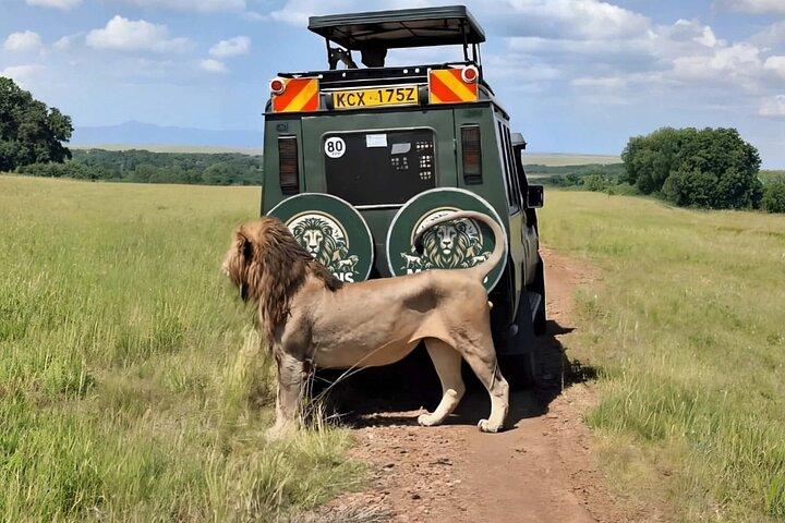 Nairobi National Park Half Day Safari Game Drive