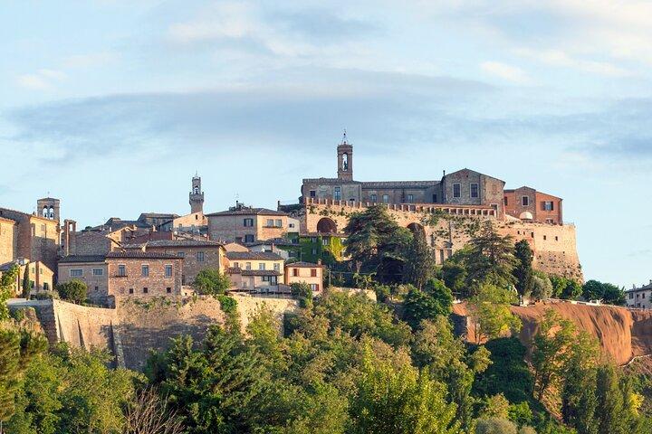 Wine Experience in Montalcino and Siena
