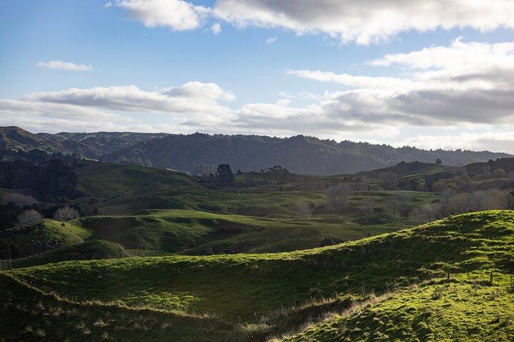 Auckland to Hobbiton Private 2-Way Transfer and Waikato