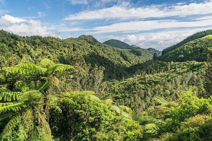 Auckland to Hobbiton Private 2-Way Transfer and Waikato