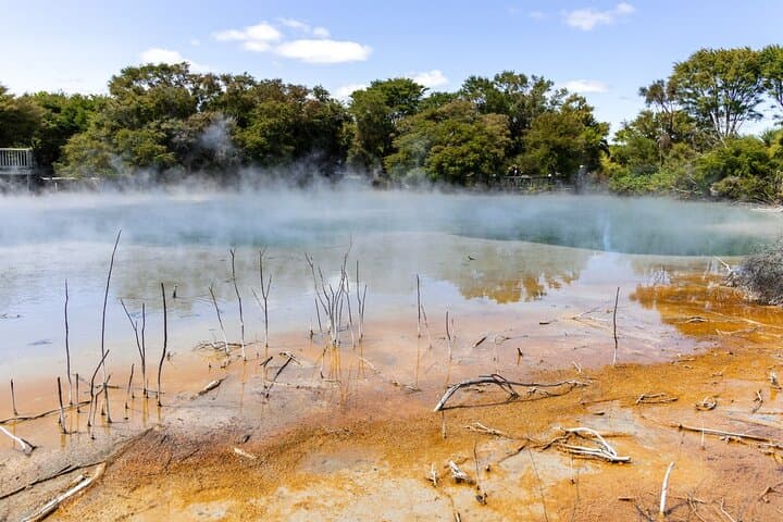 From Auckland: Rotorua & Waitomo Wonders Tour