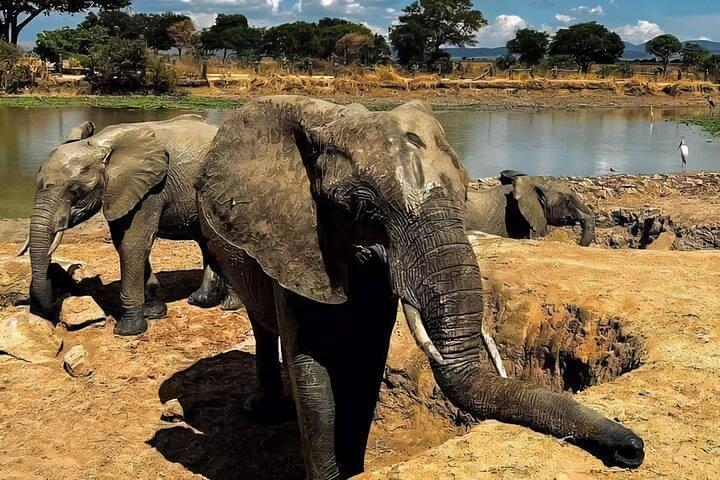 2 Day Tarangire and Ngorongoro Safari