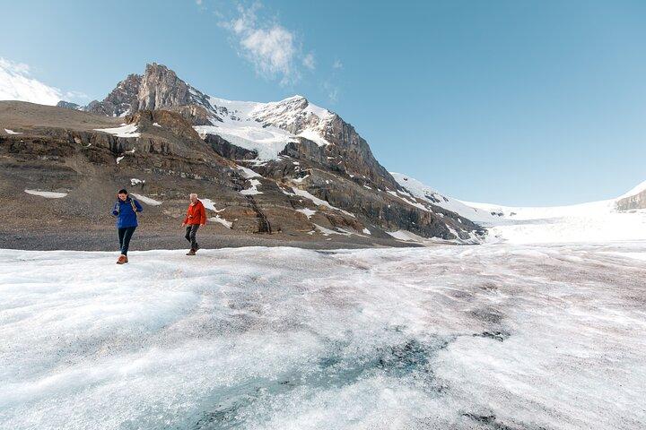 Columbia Icefield Glacier Adventure Day Tour from Calgary/ Banff