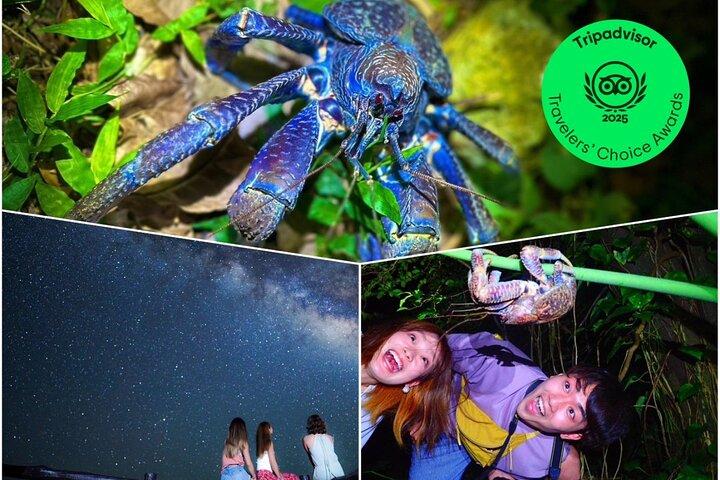 Okinawa Ishigaki Island Night Starry sky and Jungle night tour