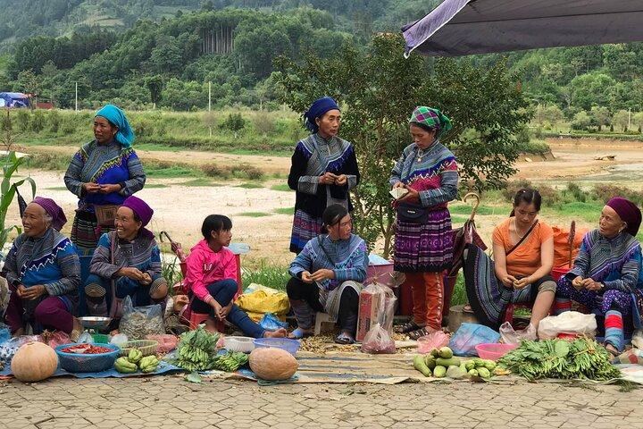 Hanoi to Sapa: 3-Day Scenic Highlands with Homestay & Hotel
